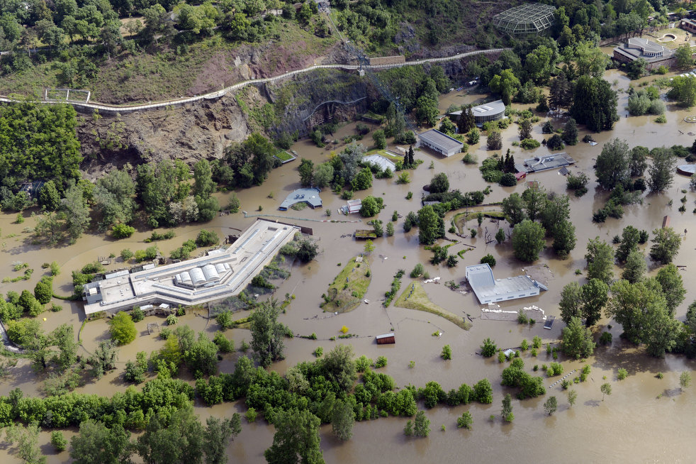 Наводнение 2002 года в зоопарке Праги
