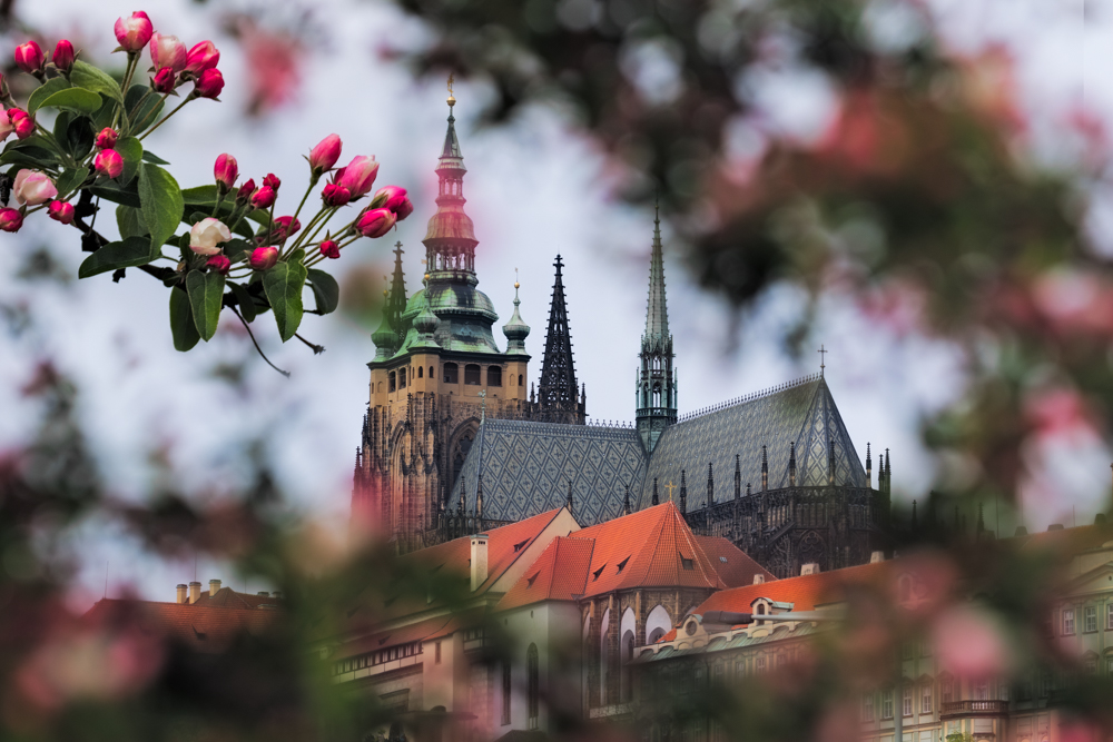 Прага в мае: погода, что посмотреть, экскурсии